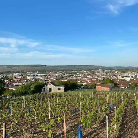 Chardonnay 2 Minutes Avenue De Champagne Appartamento Épernay